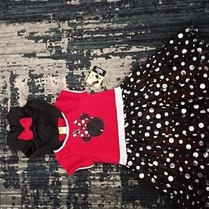 Minnie Mouse dress/costume!
